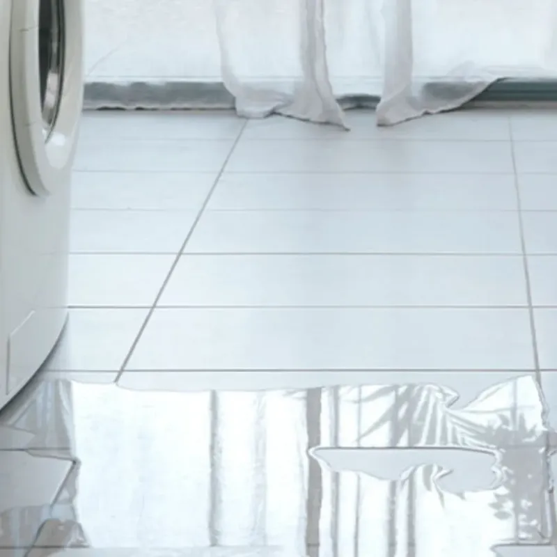 Appliance Leak Cleanup in Ogdensburg, NJ