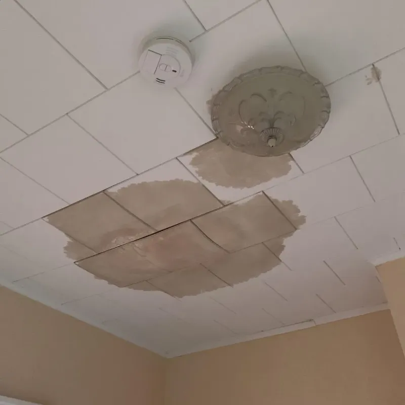 Ceiling Water Damage Repair in Ogdensburg, NJ