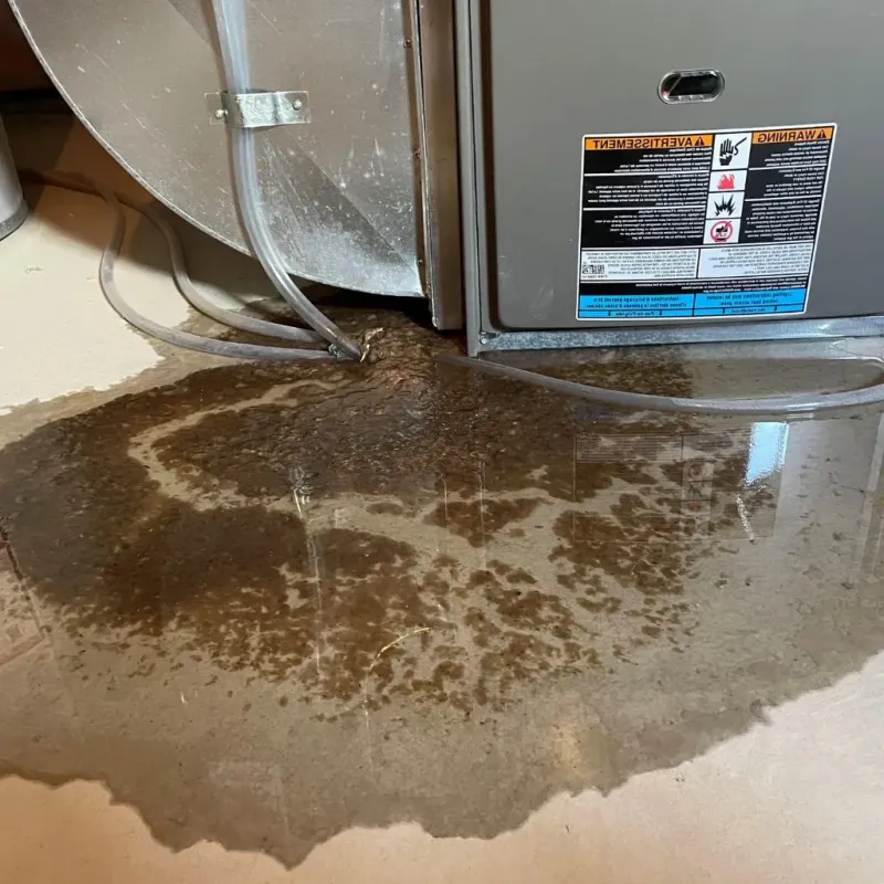 Pipe Burst and Leak Restoration in Ogdensburg, NJ