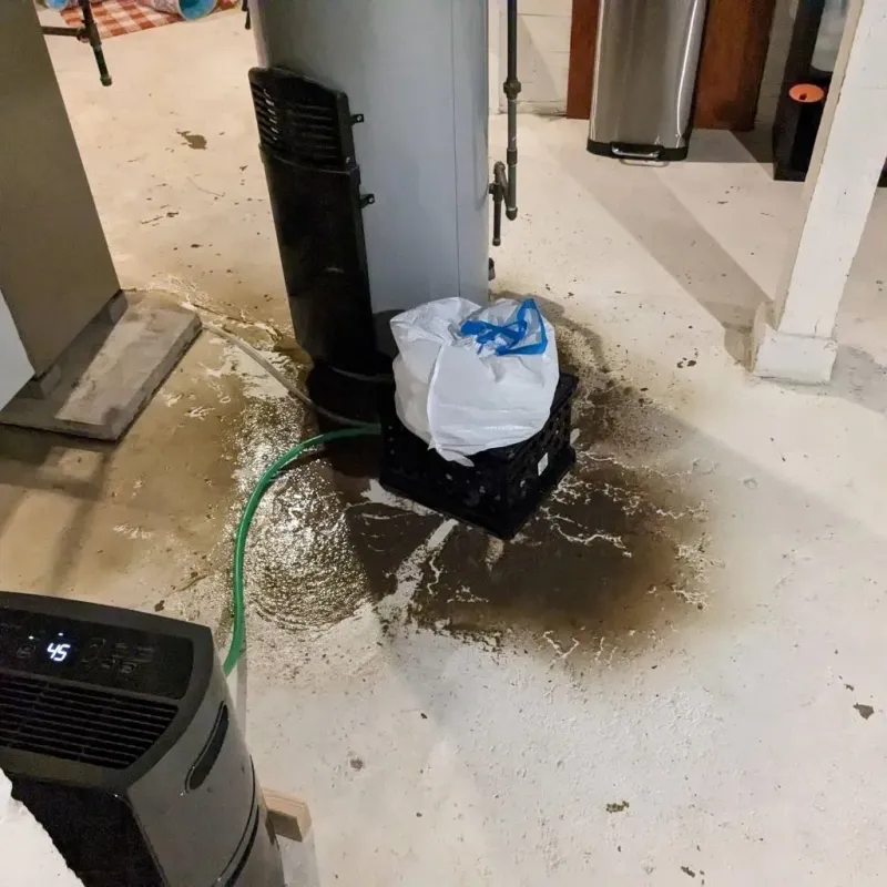 Sewage Backup Cleanup Service in Ogdensburg, NJ